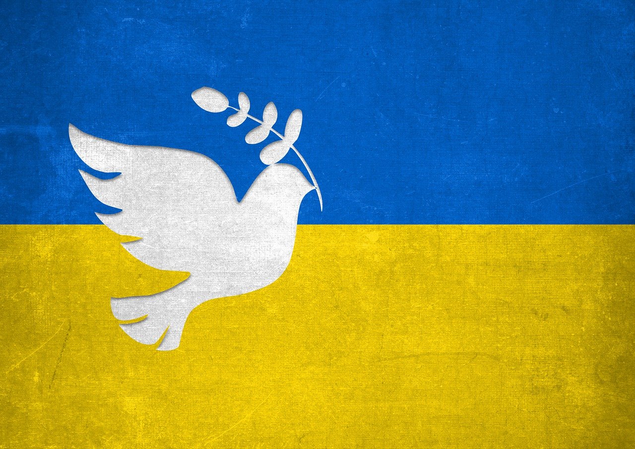 Friedenstaube - Ukrainehilfe | Köln